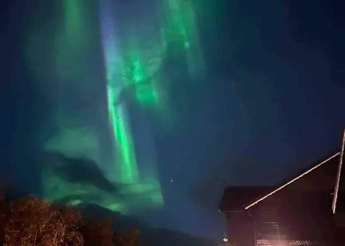 Med Ti Senger Pa Skaidi